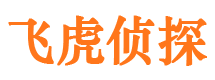 东平市私家侦探